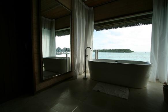 IMG_8785.JPG
